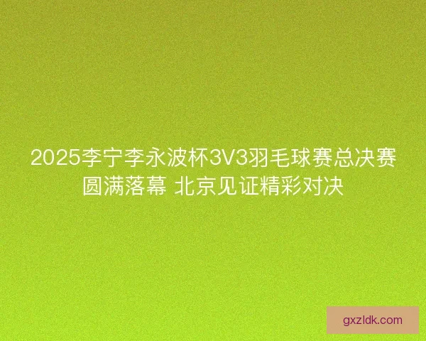 2025李宁李永波杯3V3羽毛球赛总决赛圆满落幕 北京见证精彩对决