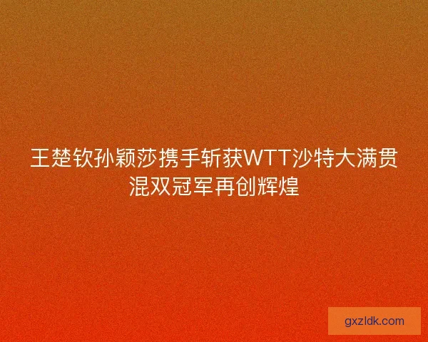 王楚钦孙颖莎携手斩获WTT沙特大满贯混双冠军再创辉煌