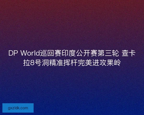 DP World巡回赛印度公开赛第三轮 查卡拉8号洞精准挥杆完美进攻果岭