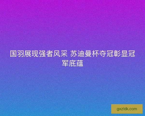 国羽展现强者风采 苏迪曼杯夺冠彰显冠军底蕴